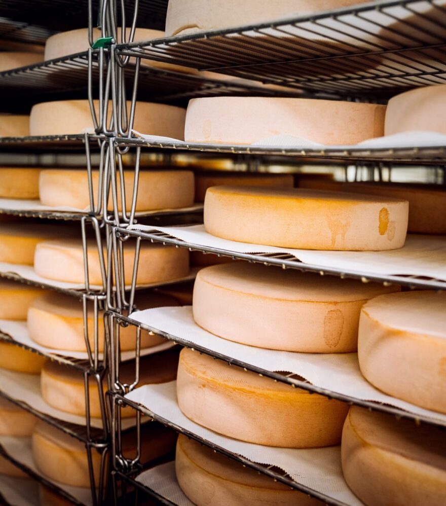 Cheeses: a royal platter