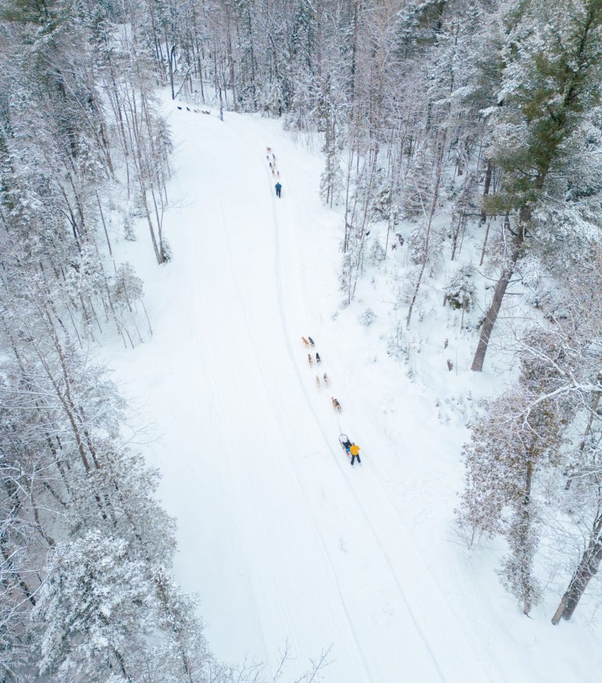 Traîneau à chiens au cœur de la Mauricie, au Baluchon éco-villégiature