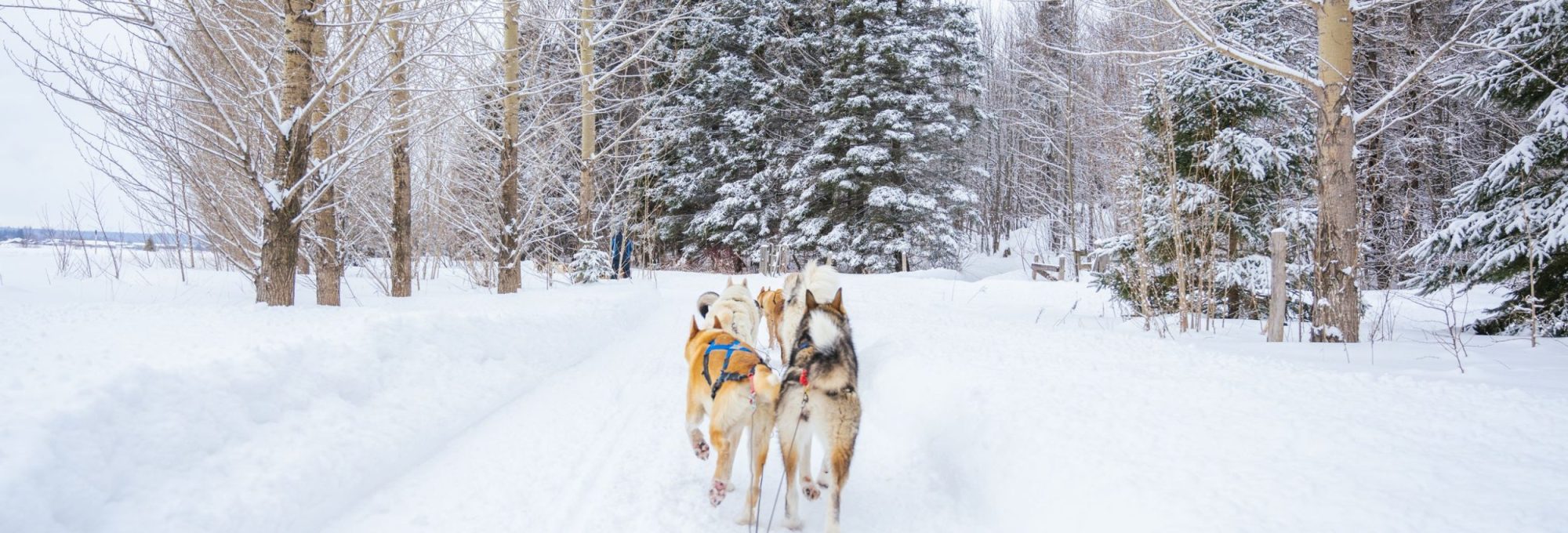 72 heures dans Lanaudière-Mauricie pour profiter pleinement du grand air hivernal