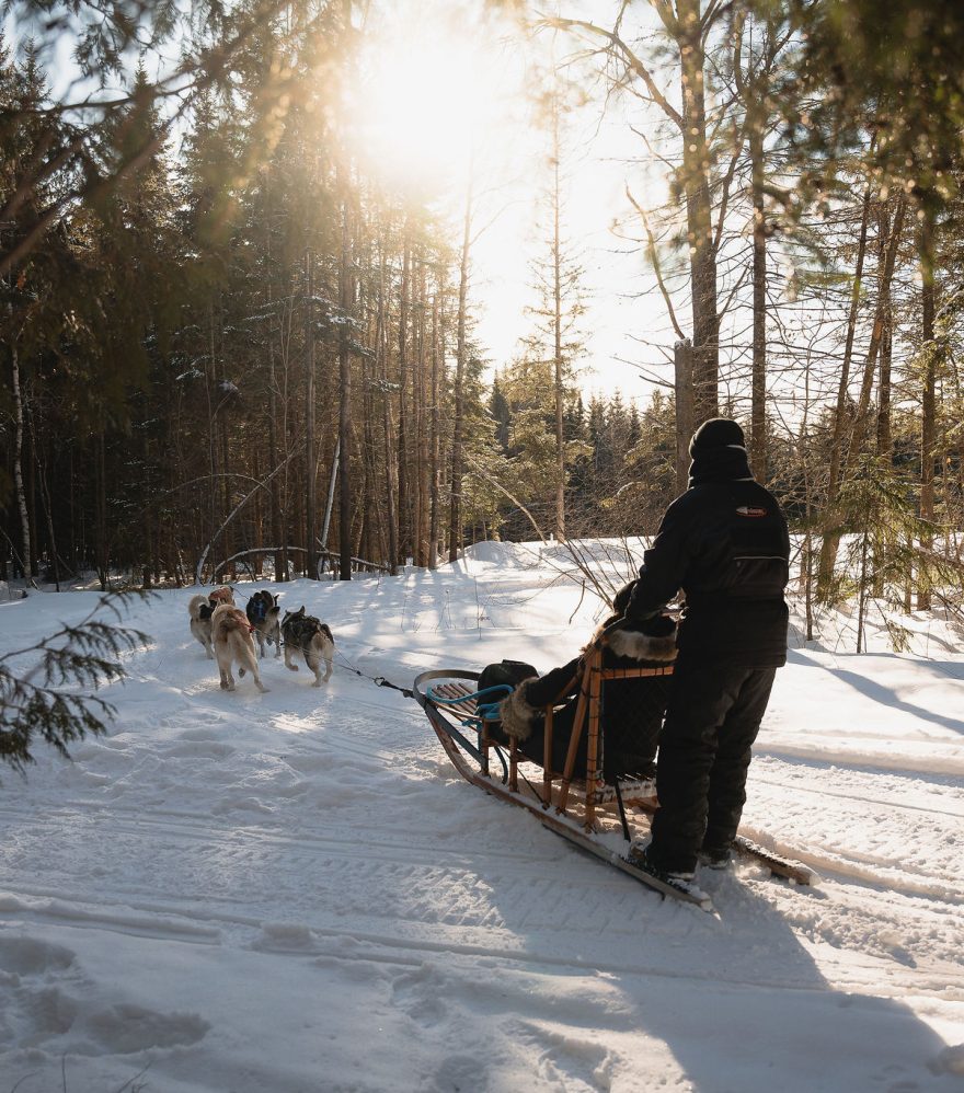 Traineau à chiens - Auberge du Lac-a-l'Eau-Claire