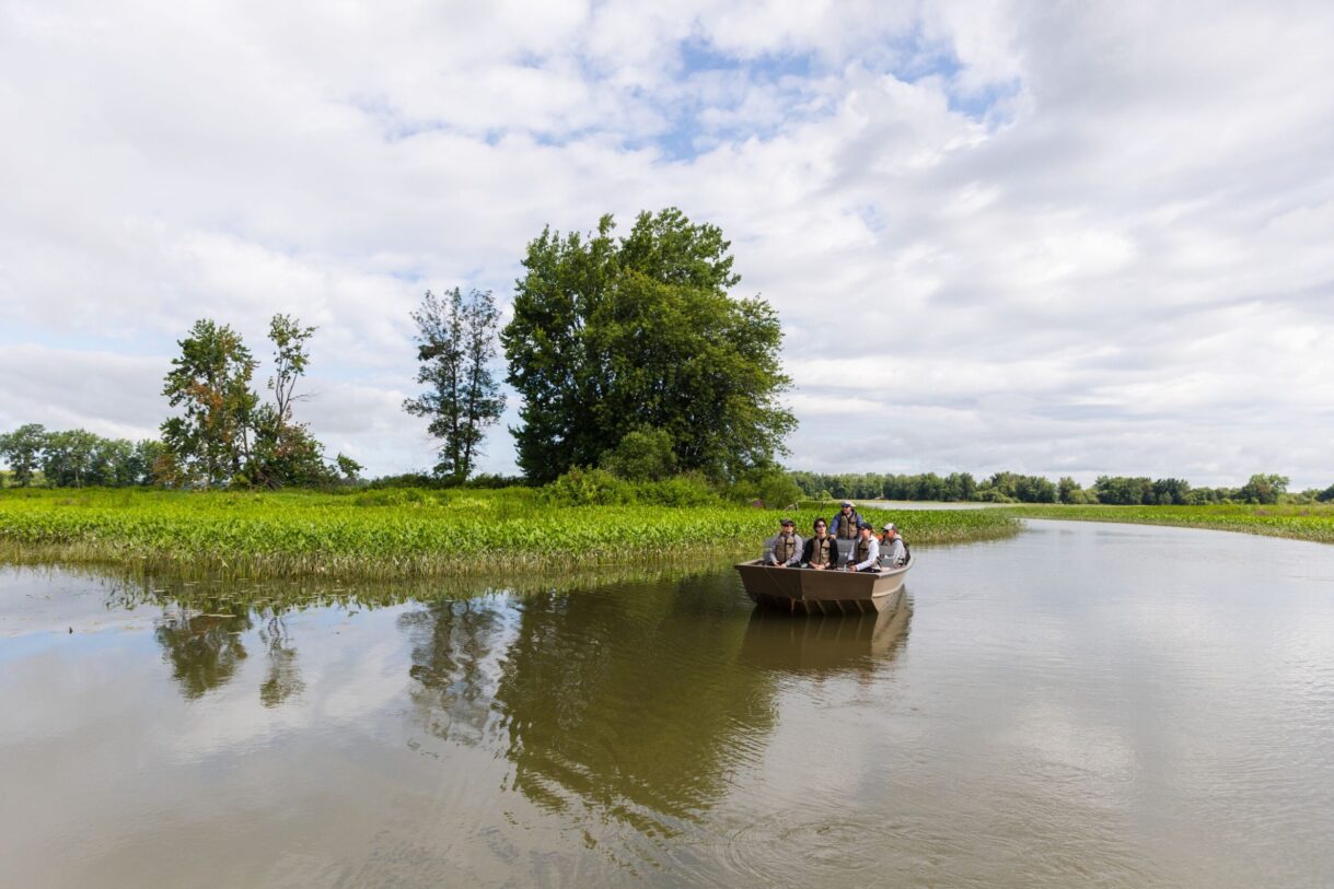 Safari dans les bayous au Domaine du Lac St-Pierre