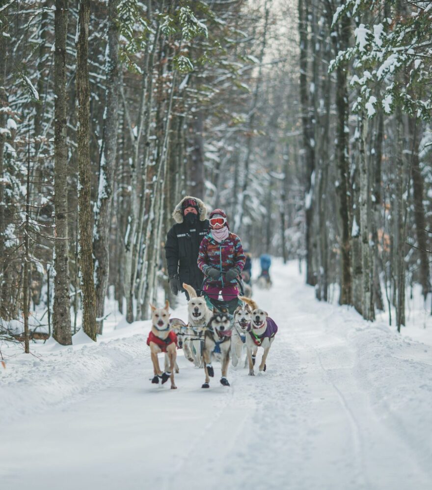Traîneau à chiens aux Aventures Liguoriennes dans Lanaudière, au Québec