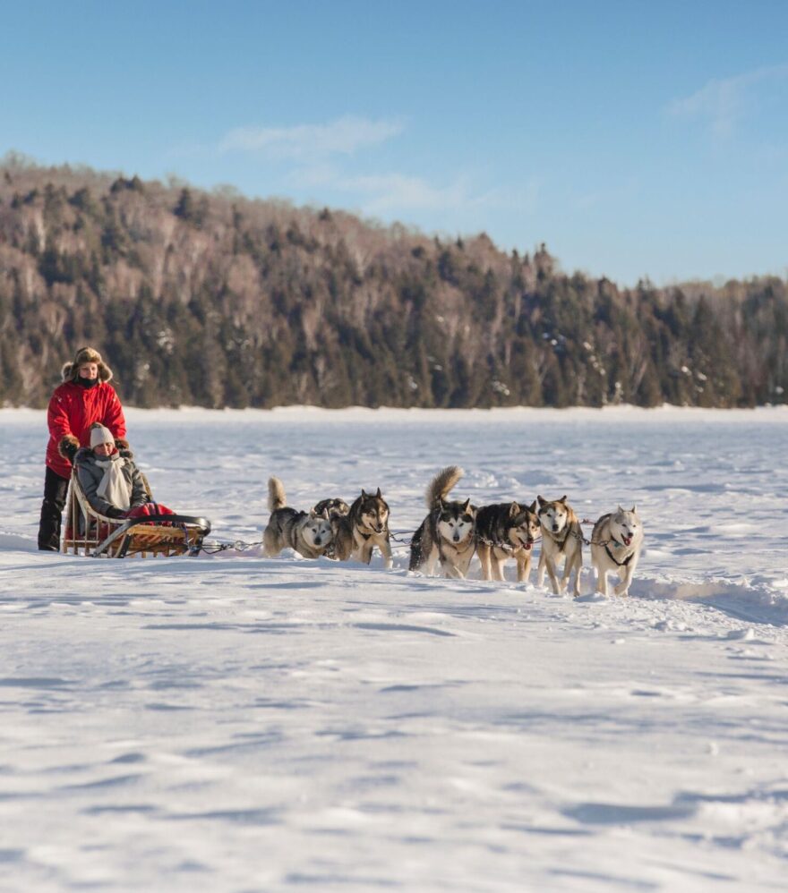Traîneau à chiens sur le lac Sacacomie, en Mauricie, au Québec