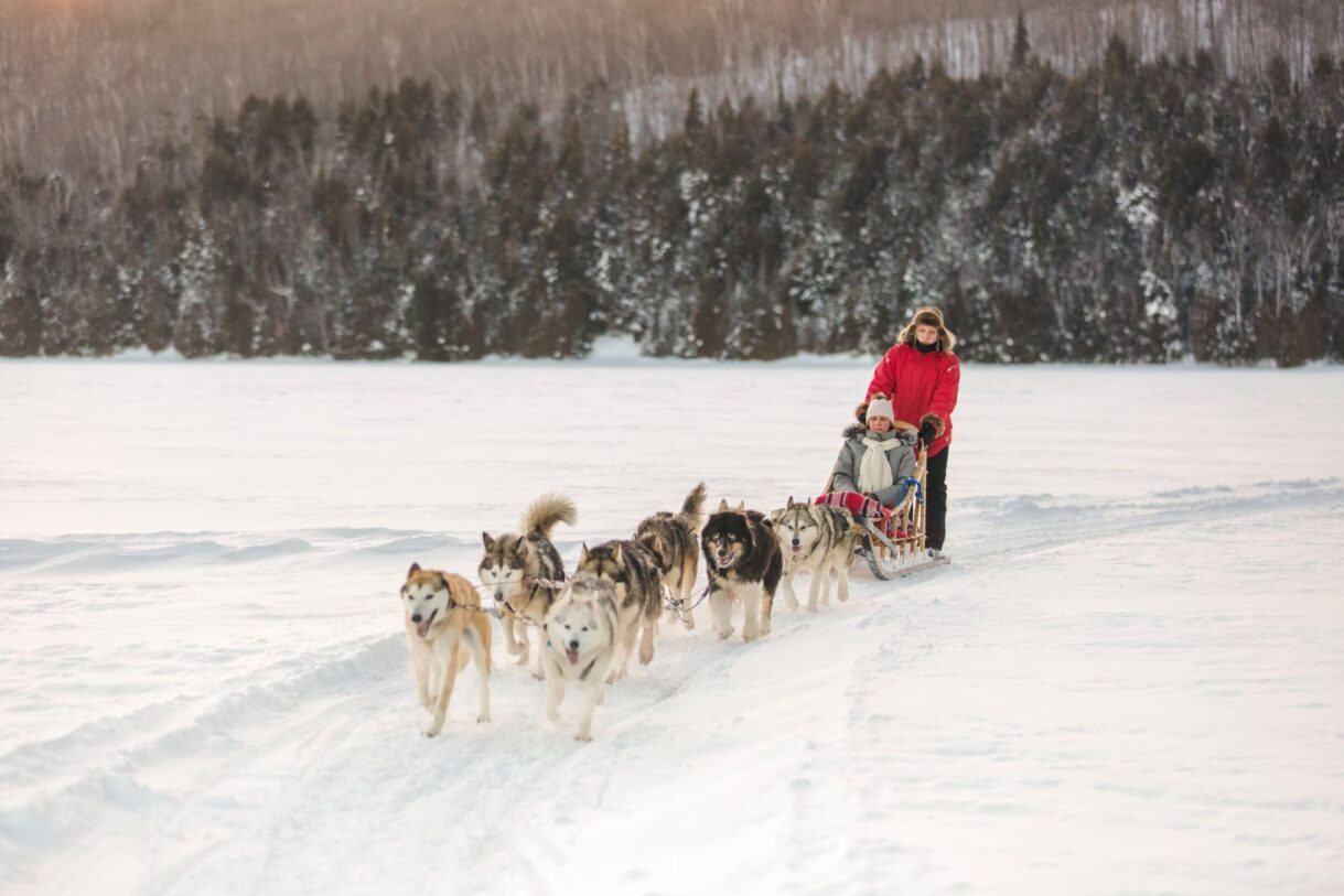Traîneau à chien sur un lac gelé en hiver au Québec