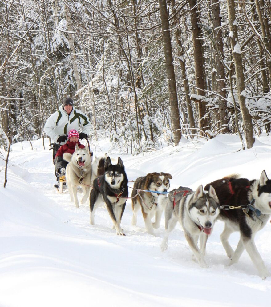 Le traîneau à chiens est pour tout le monde au Québec. Kinadapt, Lanaudière, Québec