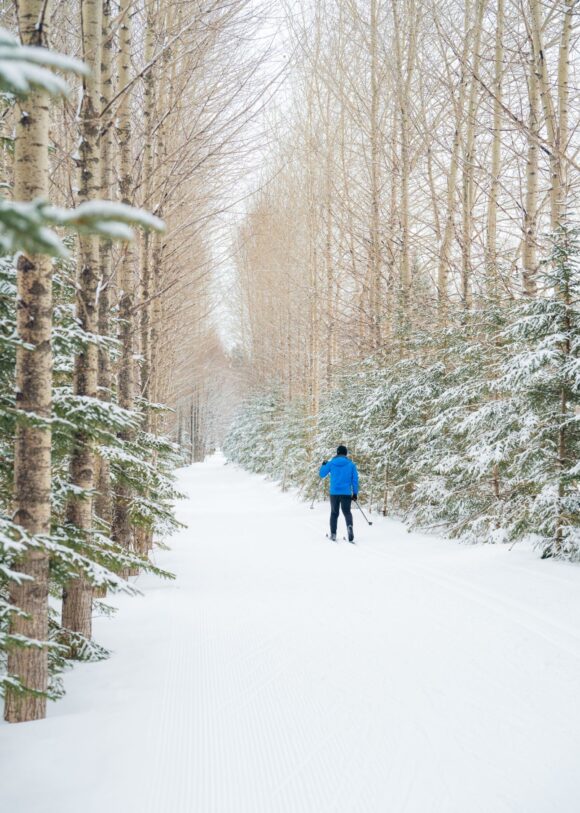 Ski de fond au Québec dans une forêt de la Mauricie