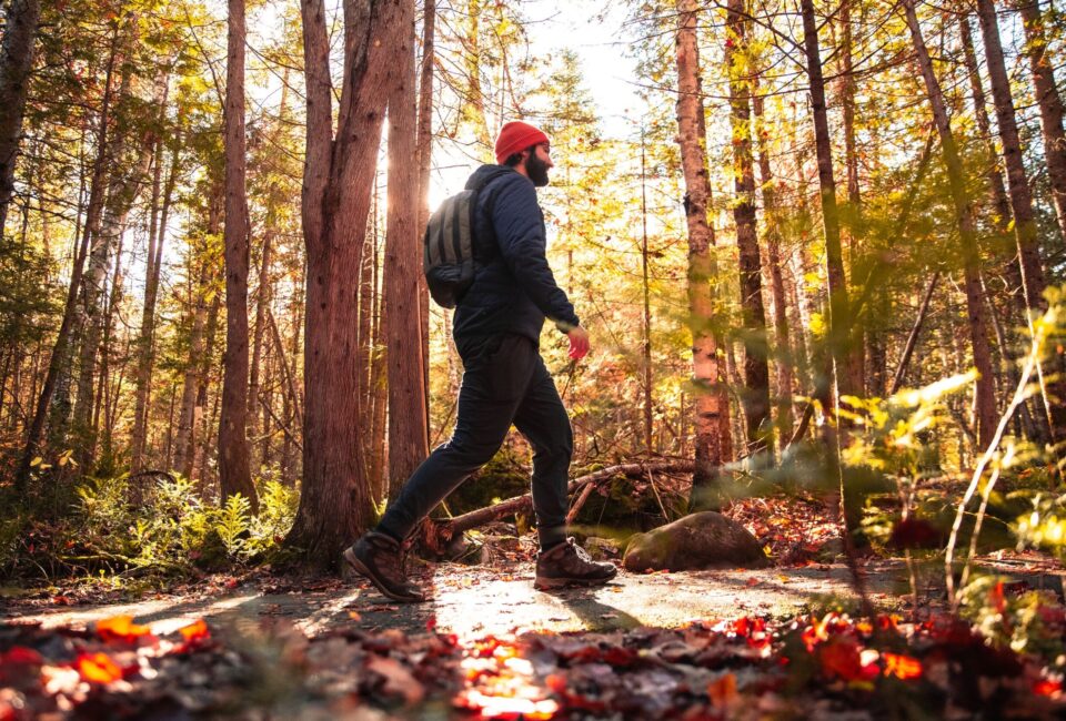 Fall in Mauricie and Lanaudière: A Nature-and-Culture Itinerary Shaped by Local Encounters