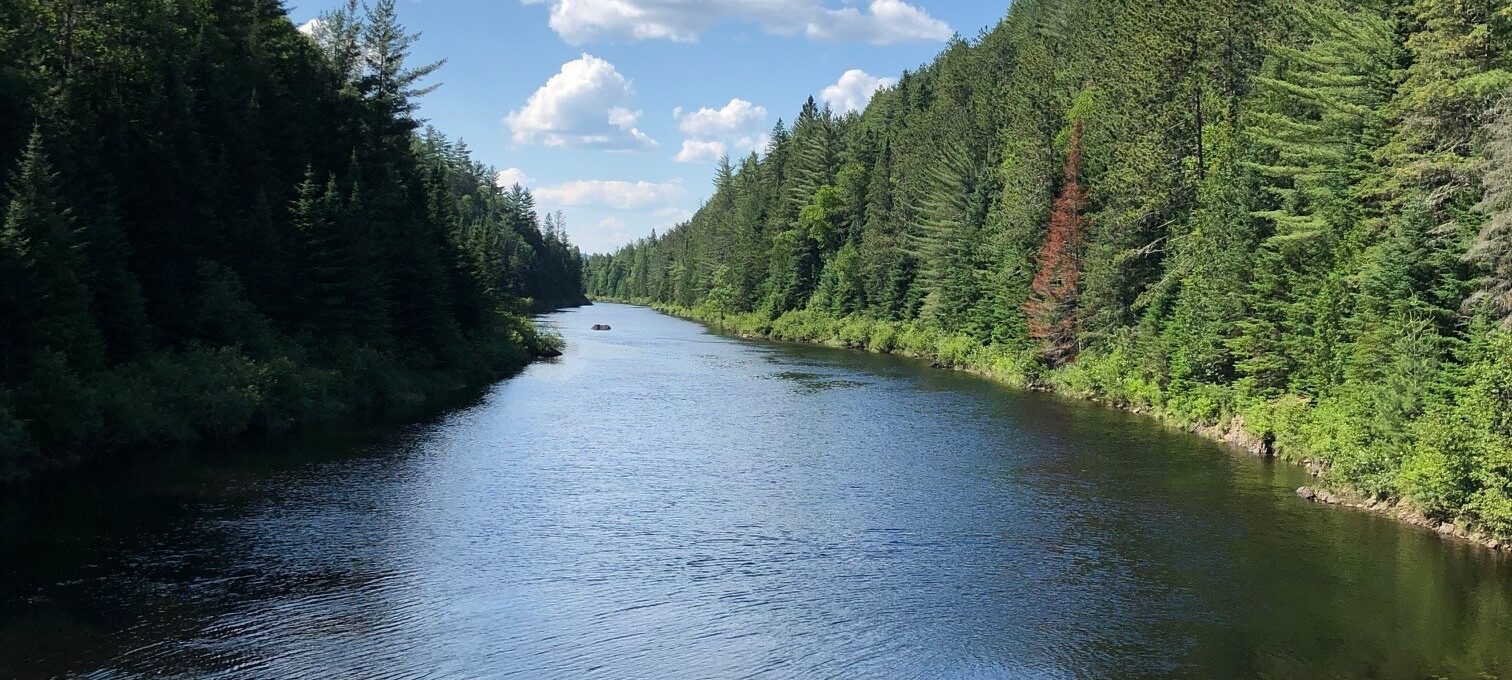 Pont suspendu forêt Ouareau