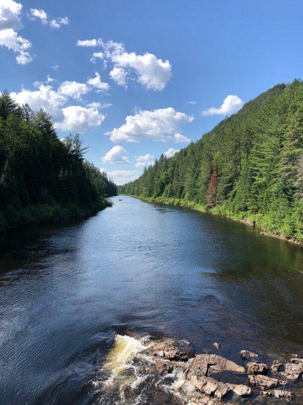 Pont suspendu forêt Ouareau